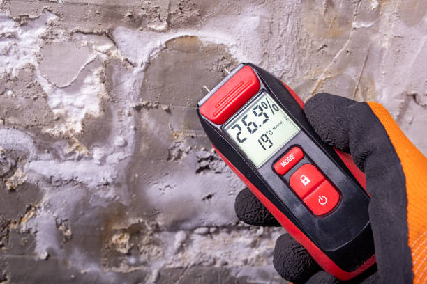 Reliable Great Bend, NY Mold Remediation Solutions